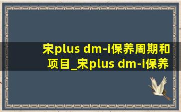 宋plus dm-i保养周期和项目_宋plus dm-i保养周期